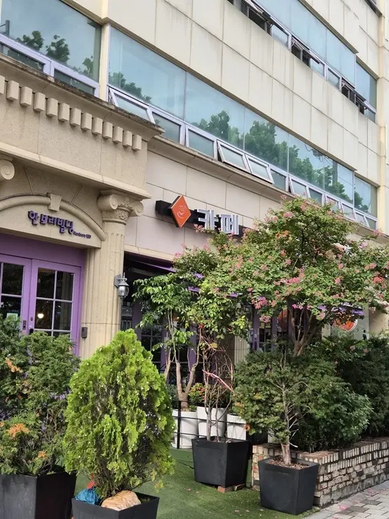 강남한보리전문요양원