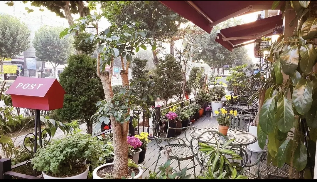 강남한보리전문요양원