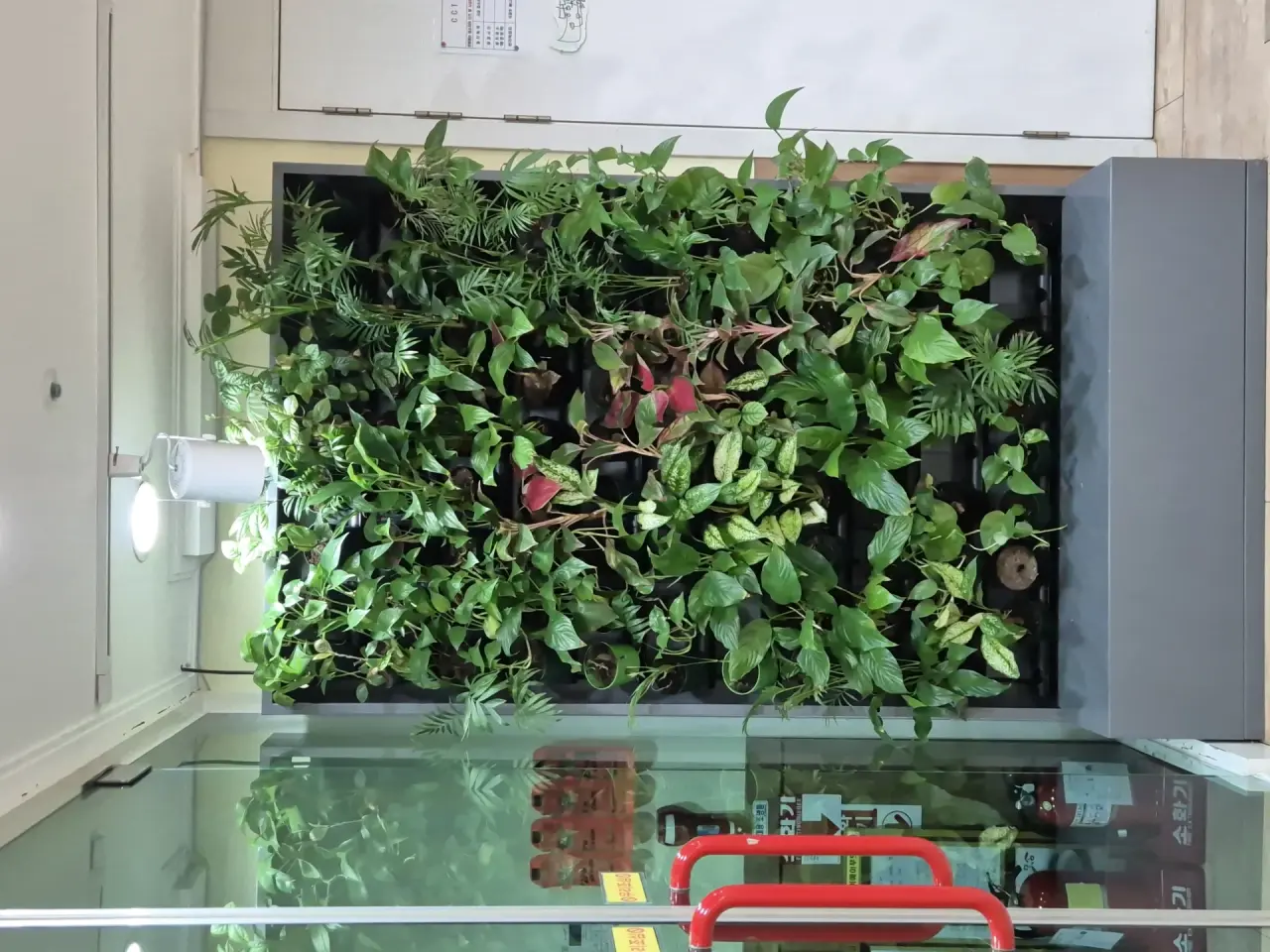 강남한보리전문요양원