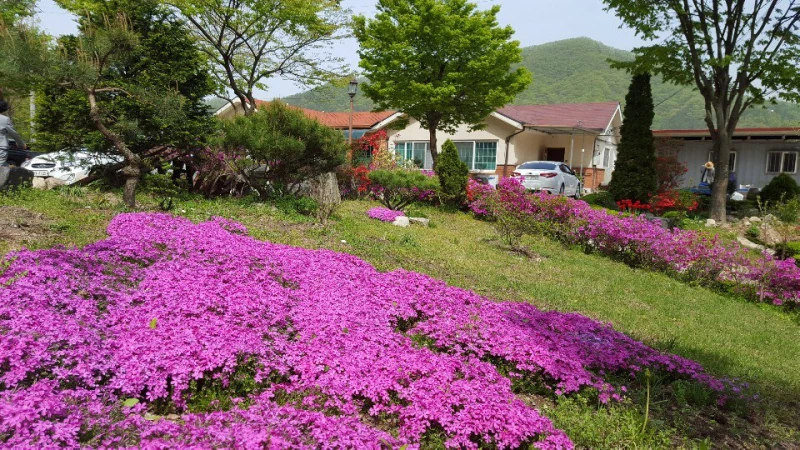 아름다운집 사진 6